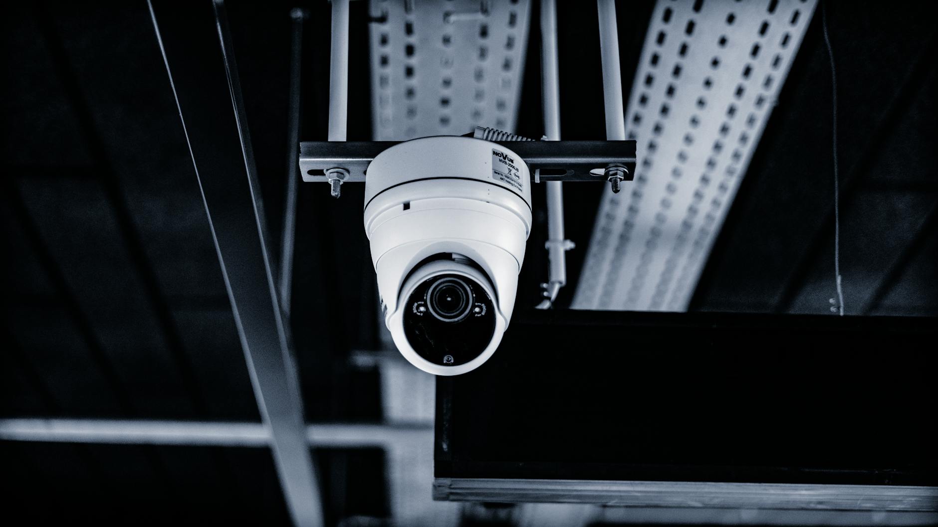 Kopułkowa kamera monitoringu wewnętrznego w hotelu dla zwierząt