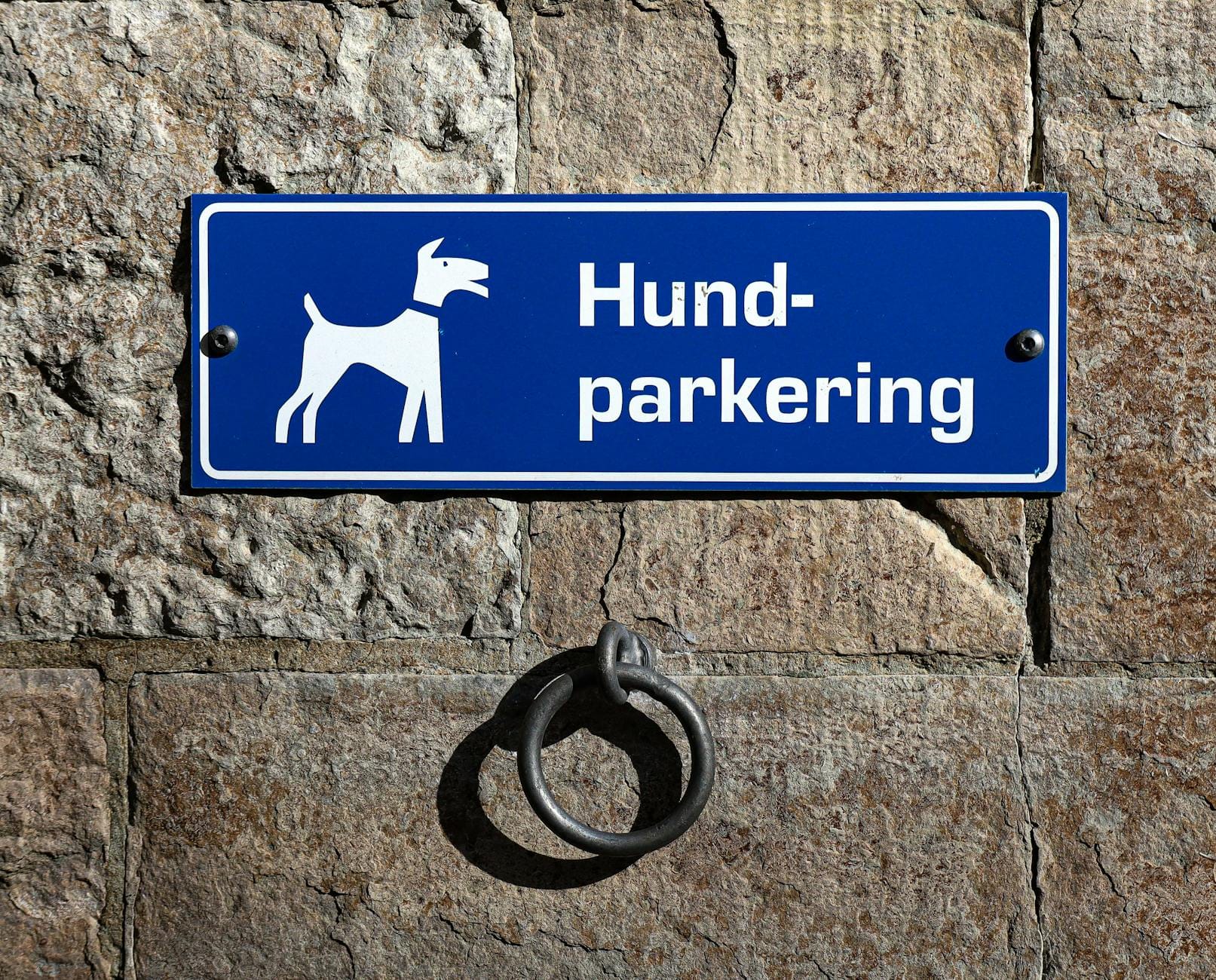 Niebieska tabliczka Hundparkering z psem na kamiennej ścianie