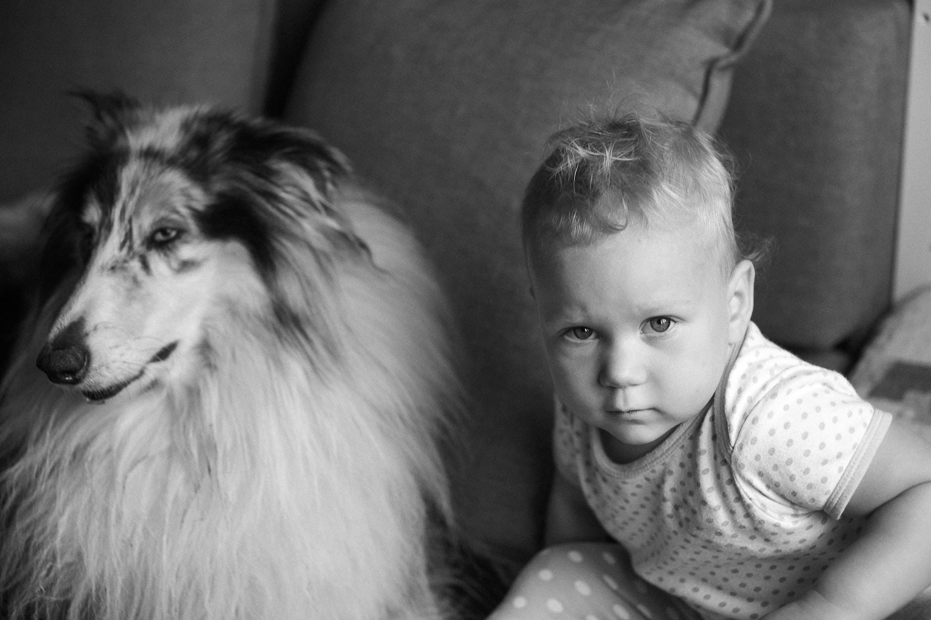 Niemowlę w domu przytula się do leżącego obok kudłatego collie