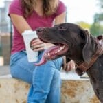 Kobieta na trawie bawi się z psem i trzyma kubek kawy