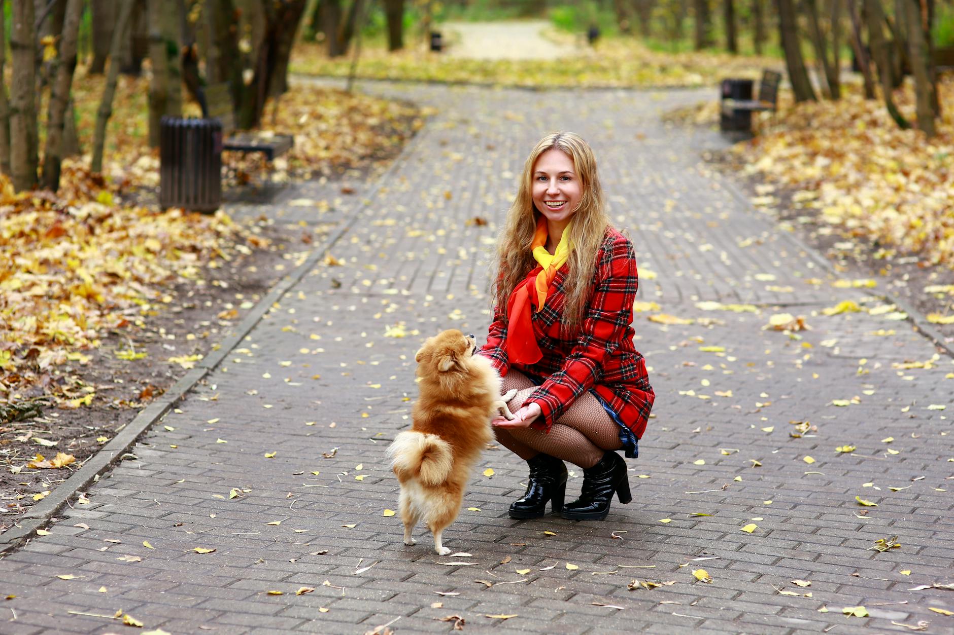Kobieta w czerwonym płaszczu spaceruje jesienią z psem rasy pomeranian