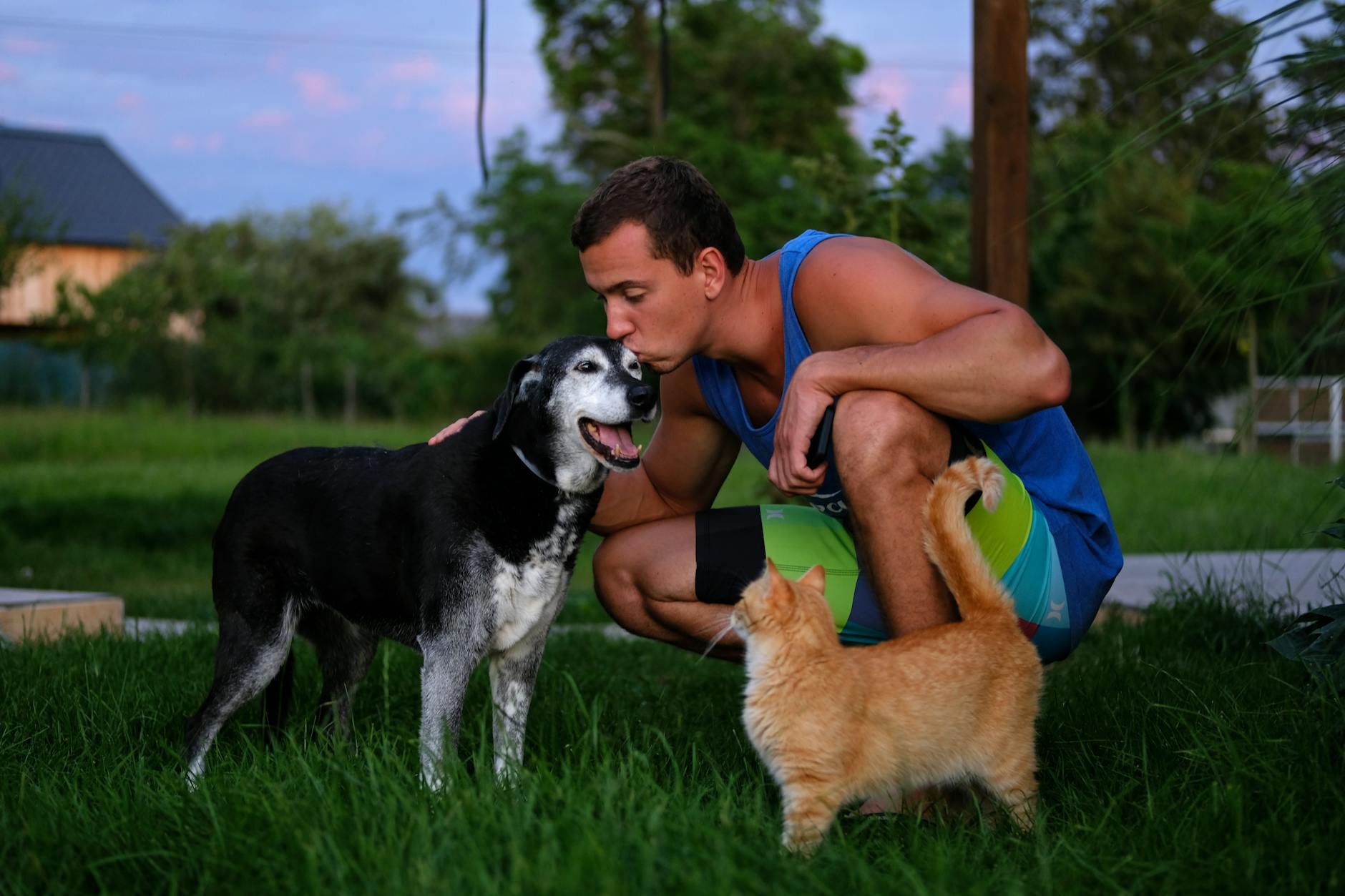 Petsitter na noc vs. wizyty w ciągu dnia: co wybrać dla psa i kota Petsitter przytula psa w ogrodzie, obok stoi obserwujący kot