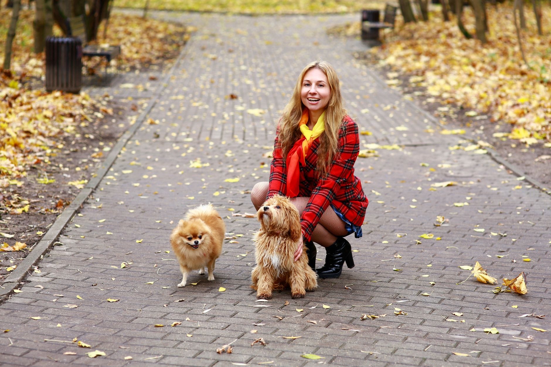 Petsitterka spaceruje z dwoma psami w jesiennym parku