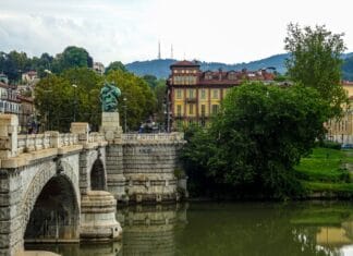 Wizyta adaptacyjna w hotelu dla psów: jak powinna wyglądać krok po kroku Z